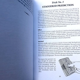 Prestidigitator by Brian Caswell
