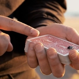 The FLY LITE by Marcos Waldemar & Invisible Compass