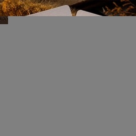 Spielkarten Goshawk Vintage Playing Cards