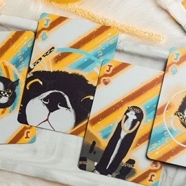 Spielkarten Space Cat V2 Collector's Box Set Playing Cards by King Star