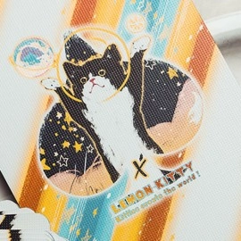 Spielkarten Space Cat V2 Collector's Box Set Playing Cards by King Star