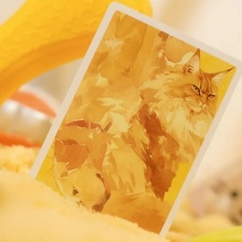Spielkarten Cat & Dog Playing Cards by TCC Fashion