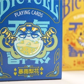 Spielkarten Bicycle Chilly Weather Blind Pack (Single Pack) Playing Cards