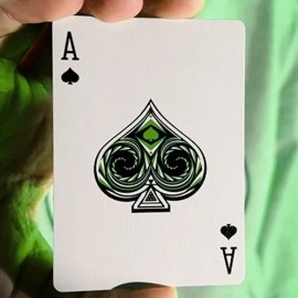 Spielkarten Descendents Playing Cards