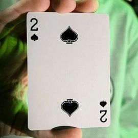 Spielkarten Descendents Playing Cards