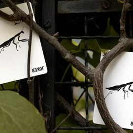 Spielkarten Mantis Playing Cards (Marked)