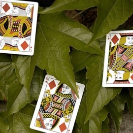Spielkarten Mantis Playing Cards (Marked)