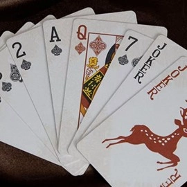 Spielkarten WANQUAN Playing Cards