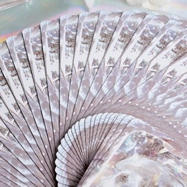 Spielkarten Chromium playing cards by Evokad