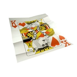 The Magicians Insurance Policy