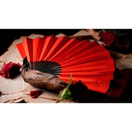 The Butterfly by K.Pen & TCC Magic