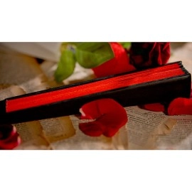 The Butterfly by K.Pen & TCC Magic
