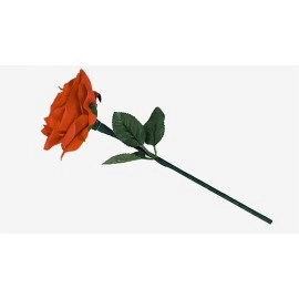 Reborn Rose by JL Magic