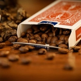 Card to Anything by Axel Vergnaud & TCC Magic