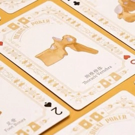 Spielkarten Medical Poker (White) Playing Cards