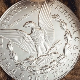 Bacon Jumbo Coin (Morgan) by Bacon Magic