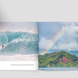 Zandman's Hawaii