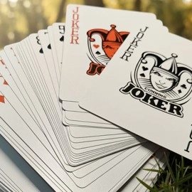 Spielkarten Disobedience Playing Cards by WohStudios