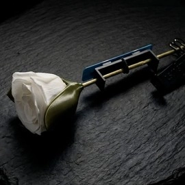 Project H: Rose Holder by J.S.M. Studio & Bacon Magic