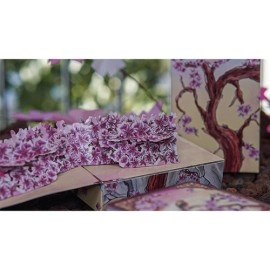 Spielkarten Sakura Renaissance 3D Pop-up Sunlight Edition Playing Cards