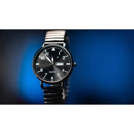 Standard R.W.W. Left Hand (Ben Seidman's Ring Watch Wonder)