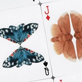 Spielkarten MOTHS (Stripe Edition) by Matthew Palladino