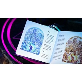 Spielkarten Portal Artist Boxset Playing Cards by Ark Playing Cards
