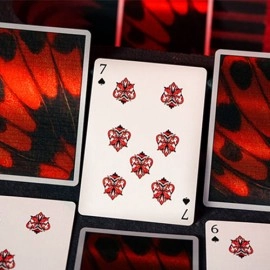 Spielkarten Morpho V2 (Carmine) Playing Cards by TCC Fashion