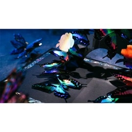 Spielkarten Morpho V2 Playing Cards Collection Boxset by TCC Fashion