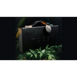 Moooi Collector's Edition BOXSET by Theory11