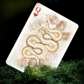 Moooi Collector's Edition (Memento Moooi) by Theory11