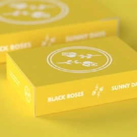 Spielkarten Black Roses Sunny Days Mini Playing Cards