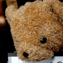 Teddy Unframed by Bond Lee & JC Magic