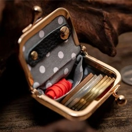Coin Bag by TCC Magic