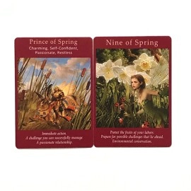 Fairy Tarot Cards by Radleigh Valentine
