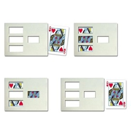 ZIG-ZAG Card (Bicycle) 