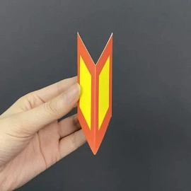 Arrow of Life