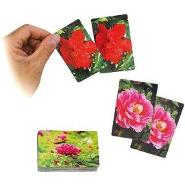 Spielkarten Botania Deck