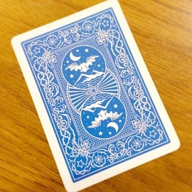 Night Flight Marked Playing Cards by Steve Dela