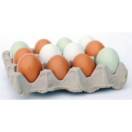 Super Wooden Egg (Duck egg)